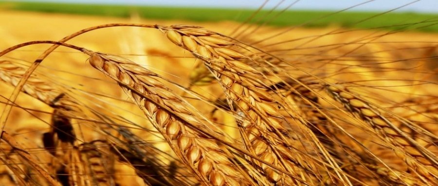 Bolluk ve Bereket Olumlamaları Ne işe Yarar?